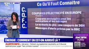 Coupures d'électricité: comment se préparent nos voisins européens? 