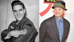 Elvis Presley dans les années 1960 et Bill Murray à l'avant-première de L'ÎLe aux Chiens de Wes Anderson.