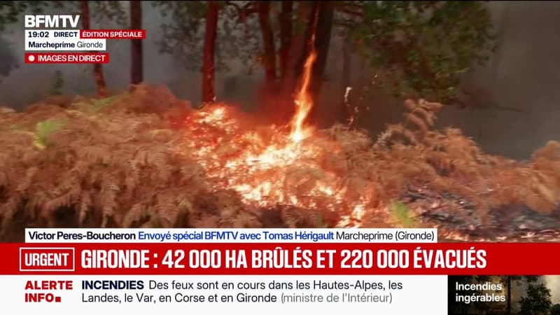 Incendie: après plusieurs jours, le feu ne se calme pas en Gironde