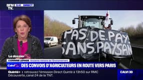 Mobilisation des agriculteurs: "On arrive au bout d'un système", pour l'ancienne ministre de l'Environnement, Corinne Lepage