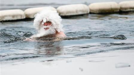 La traditionnelle course de Noël de la Serpentine, ce lac artificiel situé à Hyde Park, au coeur de Londres, a été annulée samedi en raison des eaux prises dans la glace. /Photo prise le 25 décembre 2010/REUTERS/Andrew Winning