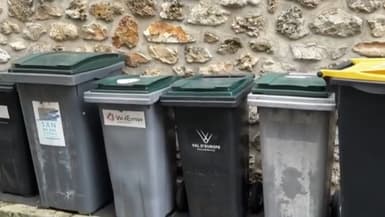 Des poubelles à puce en Seine-et-Marne (illustration)