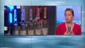 Vaccins obligatoires: "Etablir un lien entre le vaccin contre la rougeole et l'autisme ne tient pas scientifiquement"
