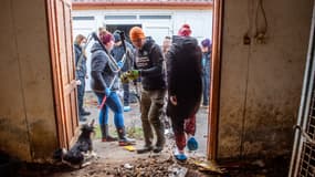 Un militant armé d'une laisse tente de retenir un chien sur un site d'élevage du village hongrois de Koszegpaty, près de la frontière autrichienne, le 18 novembre 2024.