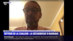 Retour de la chaleur : la sécheresse s'aggrave - 13/09