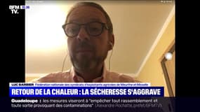 Retour de la chaleur : la sécheresse s'aggrave - 13/09