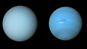 Captures d'Uranus (à gauche) et de Neptune (à droite) par le vaisseau spatial Voyager 2 de la NASA lors de son survol des planètes dans les années 1980.
