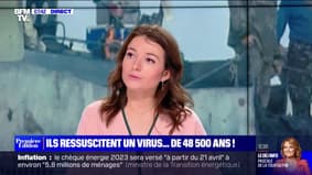 LE CHOIX DE MARIE - Des chercheurs français ressuscitent un virus de 48.500 ans