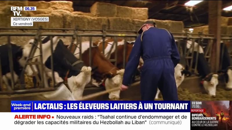 Désengagement de Lactalis en France: les éleveurs laitiers à un tournant