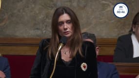 "La soumission chimique est un fléau": Sandrine Josso, de retour à l'Assemblée nationale deux mois après sa plainte contre un Joël Guerriau qu'elle accuse de l'avoir droguée