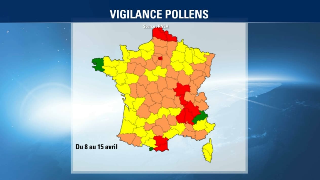 Des plus en plus de français sont allergiques aux pollens. Des plus en plus de français sont allergiques aux pollens.