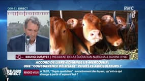 Accord de libre-échange avec le Mercosur: "On va faire savoir au président notre désaccord" a réagit