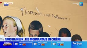 Mornant: une fresque en hommage à Joséphine Baker dégradée