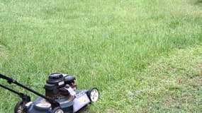 Une tondeuse en train de rafraîchir une pelouse d'herbe. (Photo d'illustration)