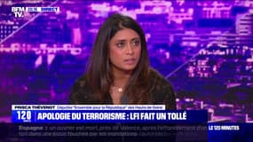 "Ils n'aiment pas la France par aigreur": Prisca Thévenot (EPR), réagit au projet LFI d'abroger le délit d'apologie du terrorisme