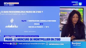 Les températures moyennes à Paris pourraient atteindre celles actuelles de Montpellier d'ici la fin du siècle