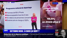 LES ÉCLAIREURS - Les chiffres du cancer du sein en France