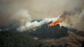 L'incendie à Grande Canarie le 18 août