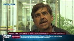 Rapport du GIEC: "D'ici 2050, un milliard de personnes pourraient être affectés par la montée des eaux" 