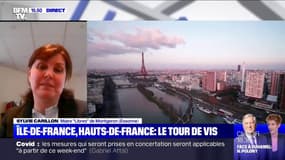 Pour Sylvie Carillon, maire de Montgeron (Essonne), seul un confinement strict "peut réellement encadrer les choses" en Île-de-France