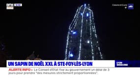 C'est à Sainte-Foy-lès-Lyon que se trouve le plus haut sapin de Noël de la métropole de Lyon
