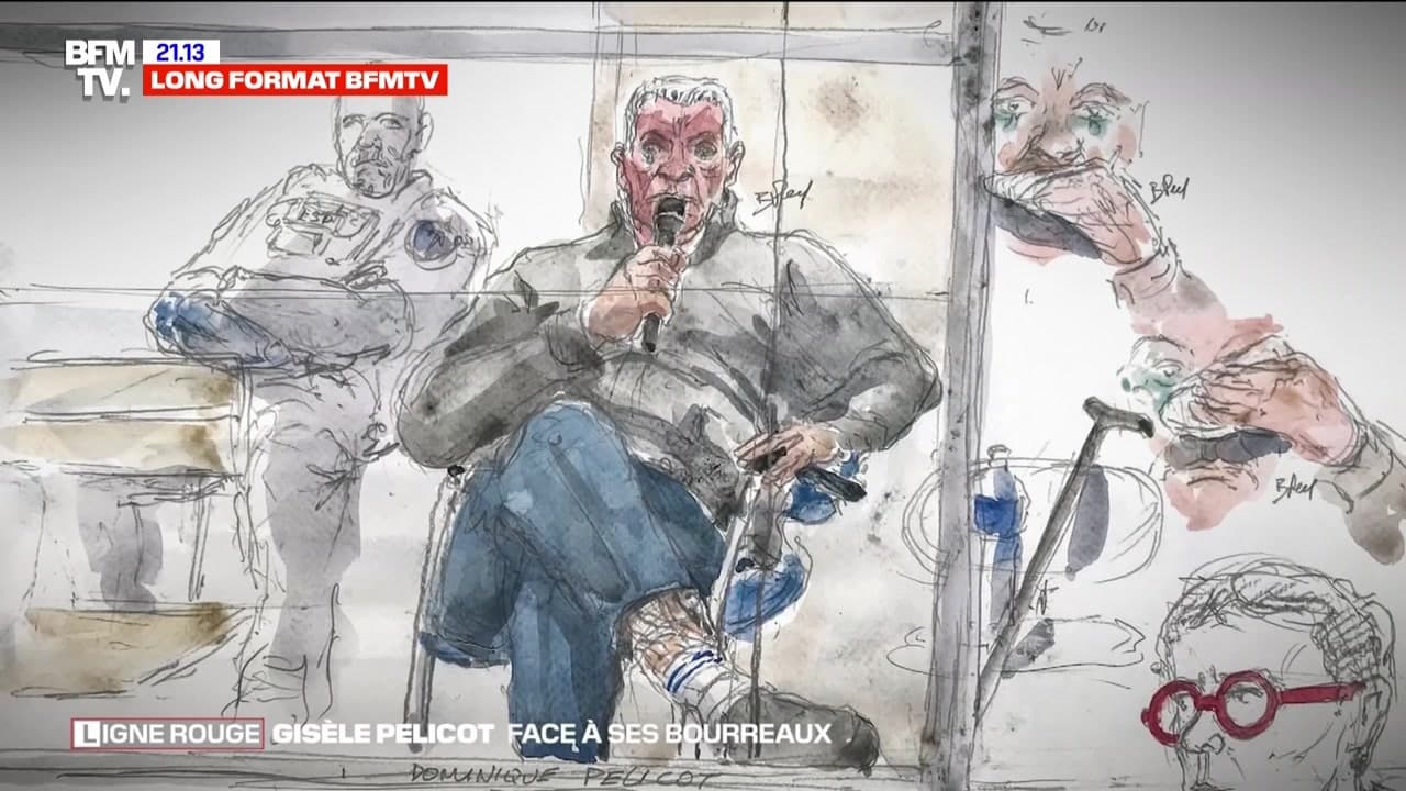 "Gisèle Pelicot face à ses bourreaux" revoir l