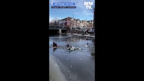 À Amsterdam, le canal gelé se brise sous leurs pieds