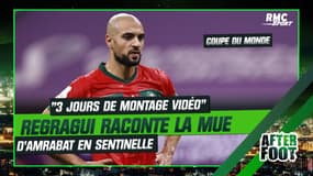 "J'ai fait trois jours de montage vidéo" : Regragui raconte la mue d'Amrabat en sentinelle