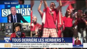 Coupe de France de football: les amateurs des Herbiers défient les stars du PSG en finale