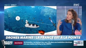 La chronique de Nina Godart : La France est à la pointe sur les drones marins - 25/07