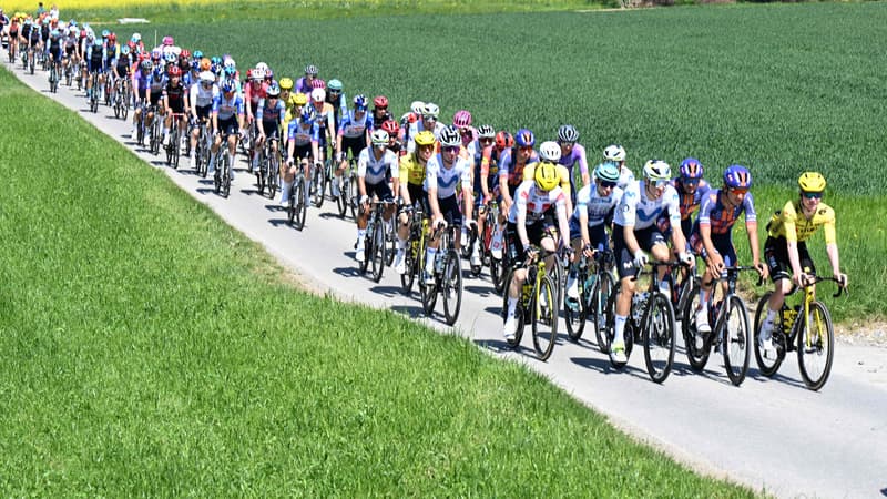 Le peloton lors de la 2e etape du Tour de Romandie le 30 04 2026 2278868