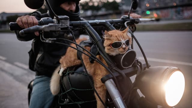 Quand l'innovation propose aux motards de faire des roadtrip en toute sécurité