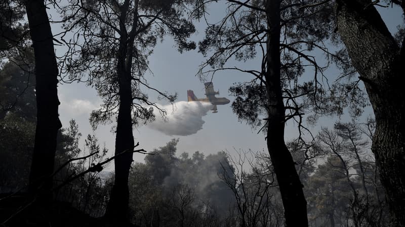 Un avion lâche de l'eau au-dessus d'un feu de forêt à Dionysos, au nord d'Athènes (Grèce), le 27 juillet 2021.