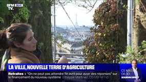 Des nouveaux modes d'agriculture en ville