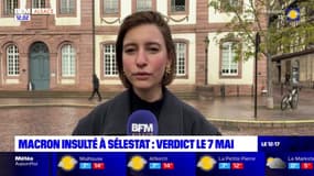 Sélestat: une femme devant la justice pour un doigt d'honneur à Emmanuel Macron, le verdict le 7 mai