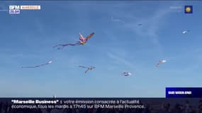 Marseille: une centaine de cerfs-volants dans le ciel des plages du Prado