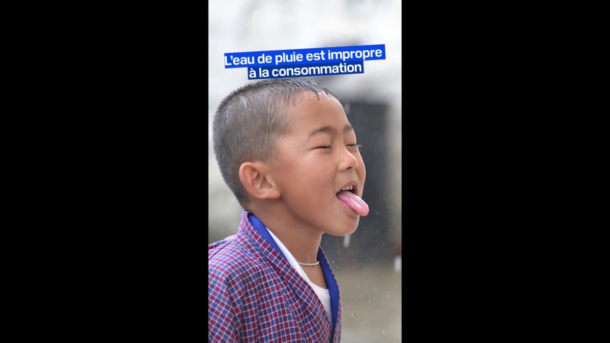 placeholder video