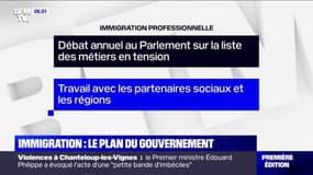 Quel est le plan du gouvernement concernant l'immigration ?