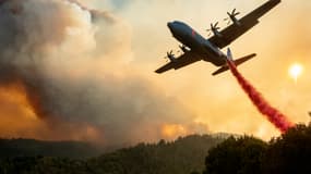 La Californie est en proie à certains des pires incendies de son histoire.