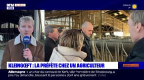 La préfète du Bas-Rhin à la rencontre d'agriculteurs à Kleingœft