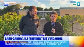 On a rendez-vous dans les vignes du pays d'Aix : les vendanges se terminent