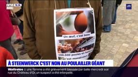 Une manifestation contre un projet d'élevage intensif de poulet à Steenwerck
