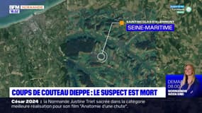 Dieppe: l'homme suspecté d'avoir tué sa sœur à l'arme blanche est mort à l'hôpital