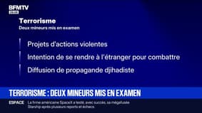 Terrorisme: deux mineurs mis en examen pour des projets d'actions violentes