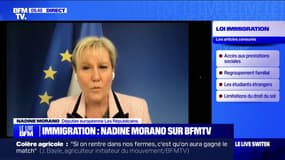 Censure partielle de la loi immigration: "Cette décision est scandaleuse", pour Nadine Morano