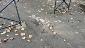 Un homme tué d'une balle dans la tête au Tonkin, à Villeurbanne, le 31 octobre.