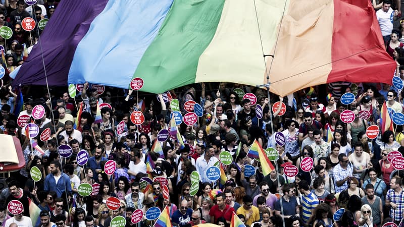 Lors de la gay pride de 2014, à Istanbul.