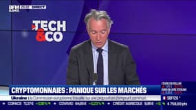 Cryptomonnaie : panique sur les marchés, le Bitcoin sous les 30 000 $