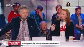 Griveaux victime d'une attaque dégueulasse ? (2/2) – 14/02