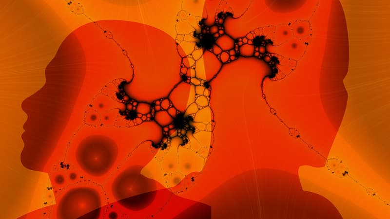 Le propranolol est un bêtabloquant qui permet d'atténuer l'intensité des souvenirs post-traumatiques.
